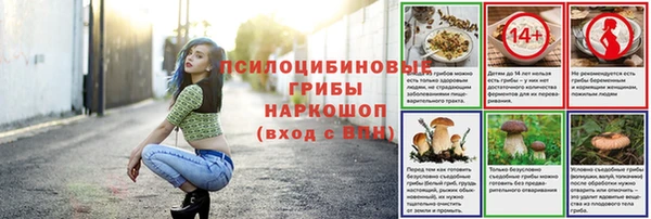 твердый Алексин